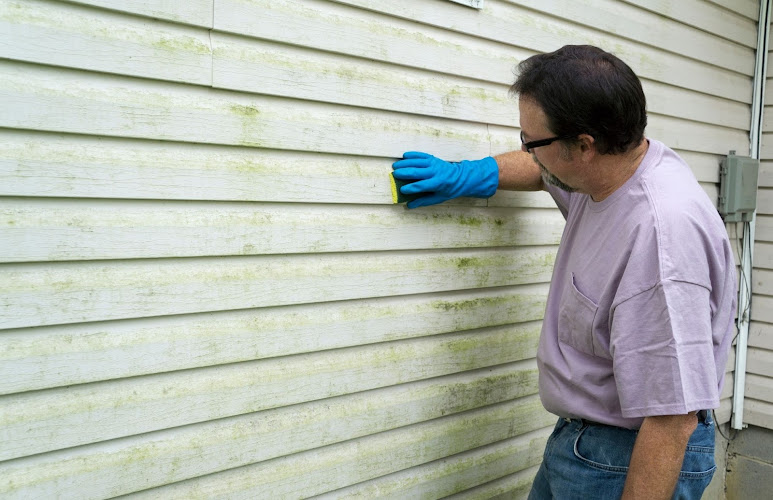 C'ville Mold Experts