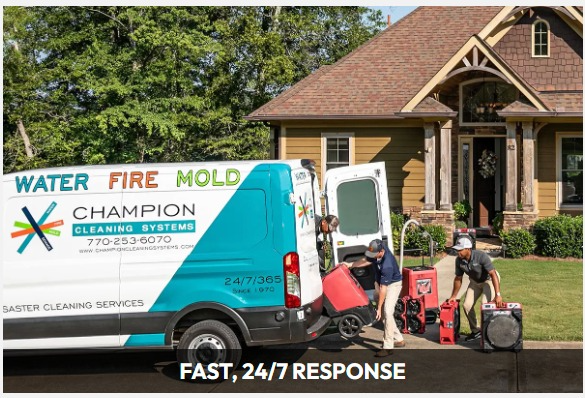 Champion Cleaning Systems Inc