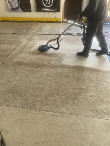 Ann Arbor Rug and Carpet Cleaning