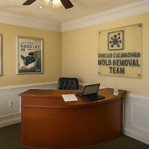 Rancho Cucamonga Mold Removal Team