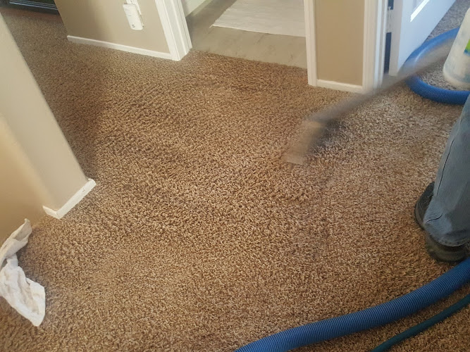 Serves You Right Carpet & Upholstery cleaners