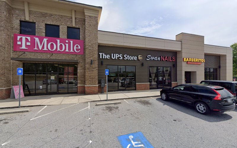 Winder Mold Removal Experts