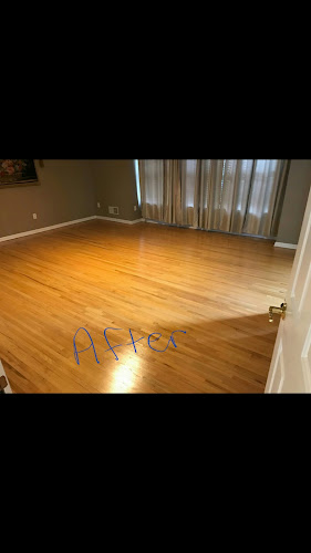 Nemo's Cleaning Services