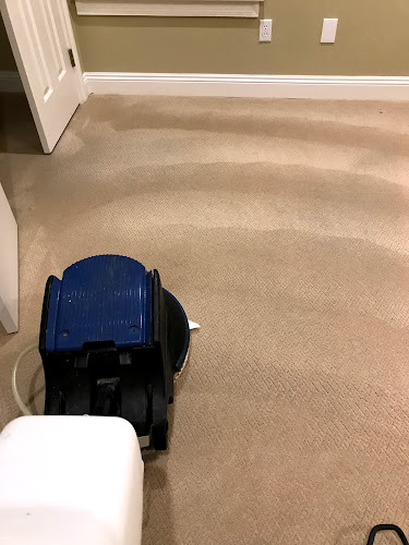 Accutech Carpet and Tile Cleaning