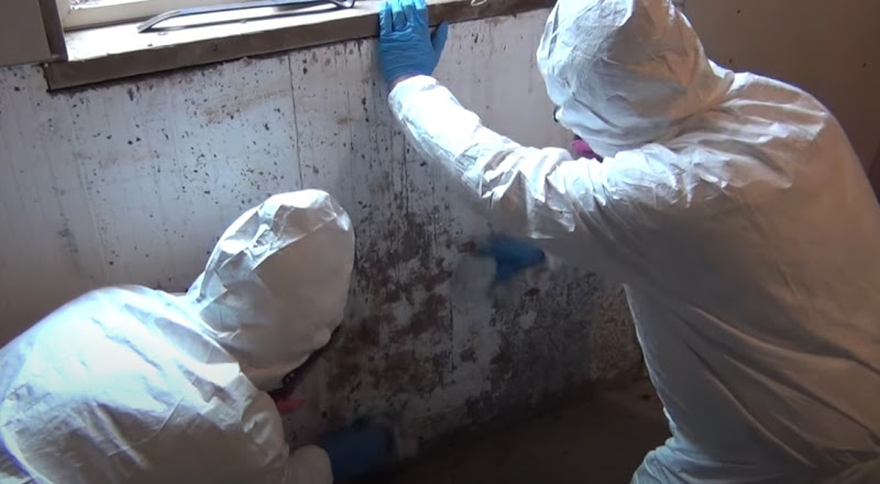 Certified Mold & Water Damage Restoration LLC