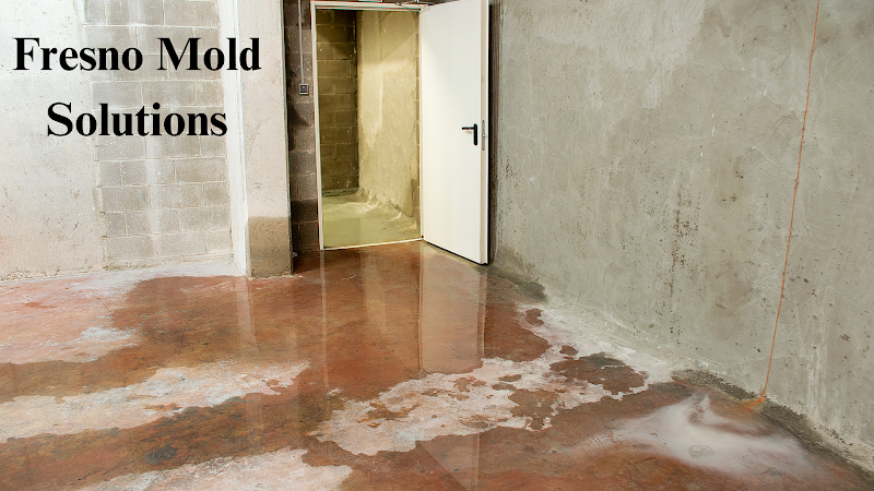 Fresno Mold Solutions