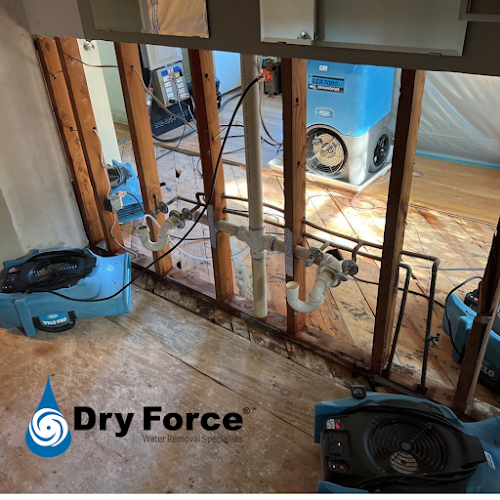 Dry Force Water Removal Specialists