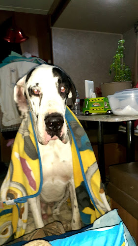 High Desert Plumbing