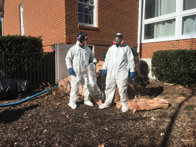 Whitehall Carpet Cleaners