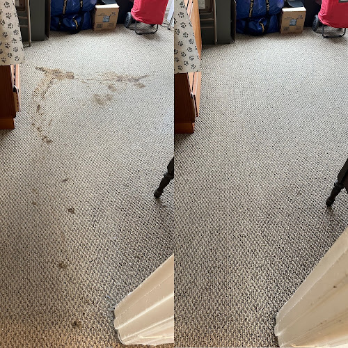 Carpet Cleaning Sunnyvale Lewis Cleaners South