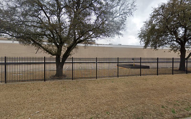 A1 Mold & Water Damage Restoration Service