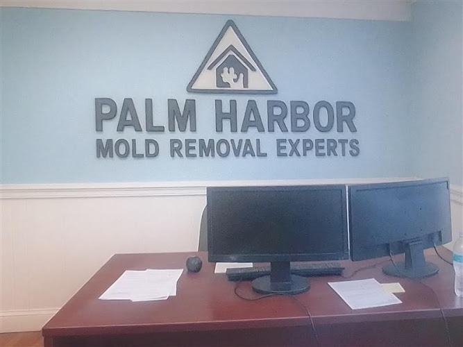 Palm Harbor Mold Removal Experts