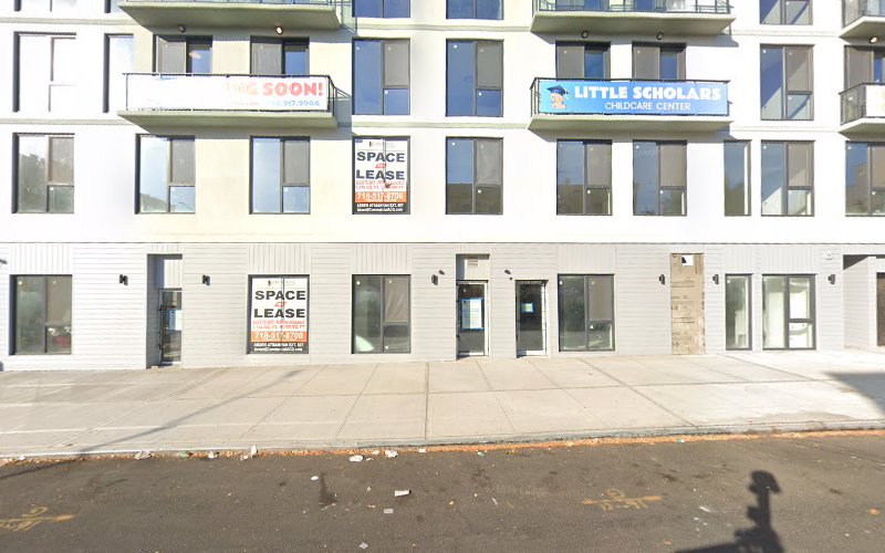 Brooklyn Mold Removal Team