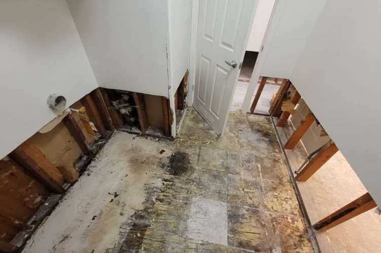 Premier Water Damage Service