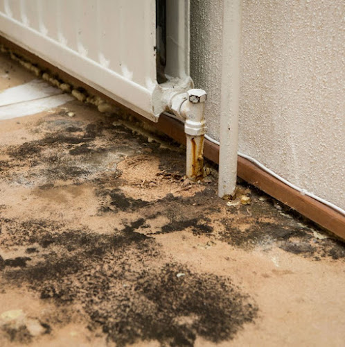 ReviveIt Water Damage & Restoration