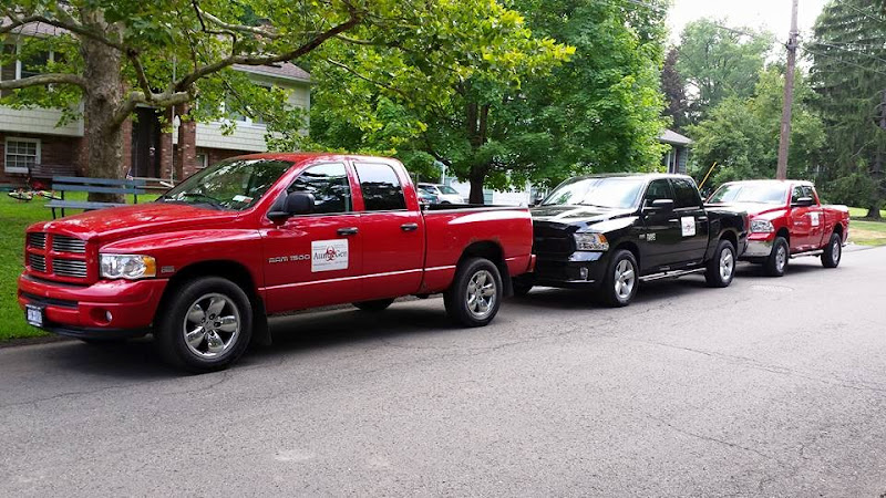 AuntieGen | Mold Removal in Indianapolis