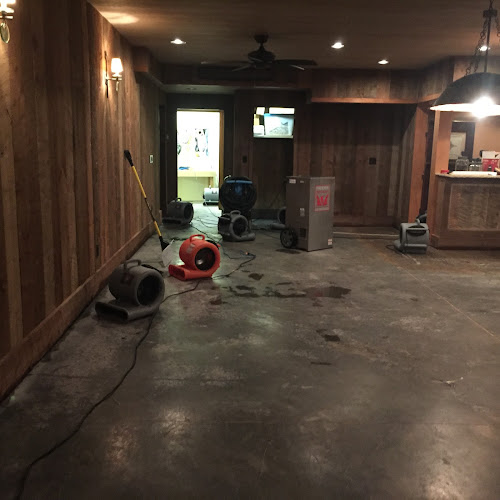 Action Restoration & Property Services