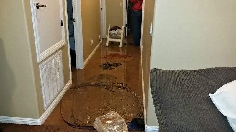 Belleair Water Damage Solutions
