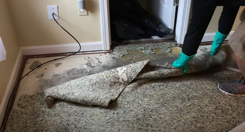 Certified Mold & Water Damage Restoration LLC