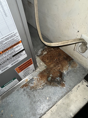 TruClean Mold & Air Ducts