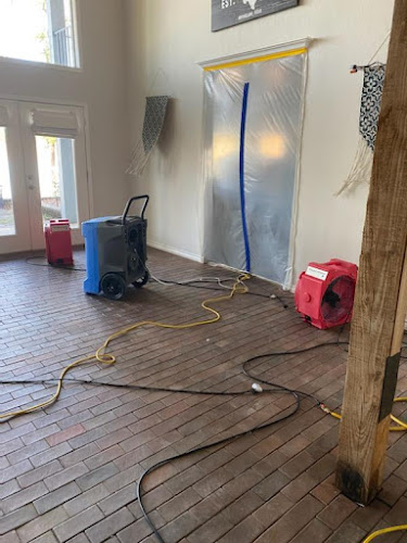 Action Plus Carpet Care & Restoration