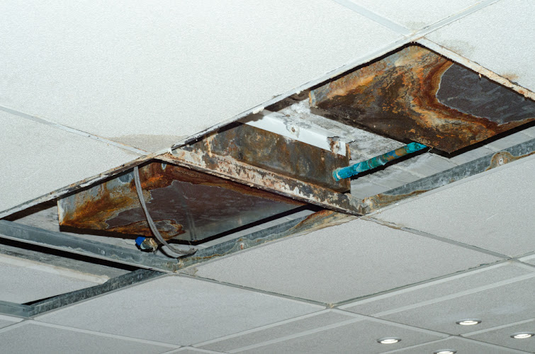 Water Damage Pflugerville