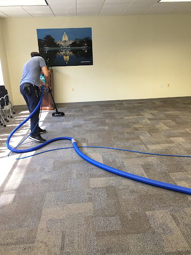Mammoth Carpet, Water Damage and Mold