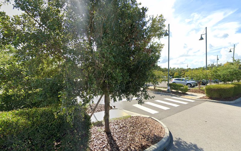 Catstorng Mold Inspection Palm Coast