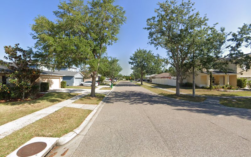 Rugged Tree Restoration