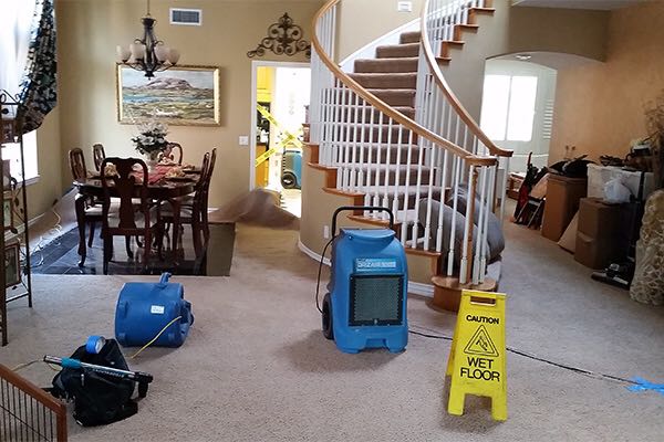 Hawaii Water Damage Restoration