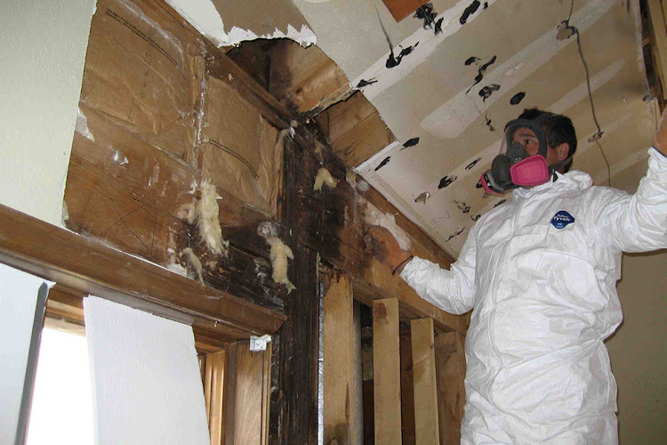 Locke Water Damage Restoration Pros
