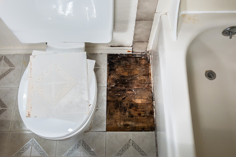 Rot Doctors, A Division of Polli Construction, Inc.