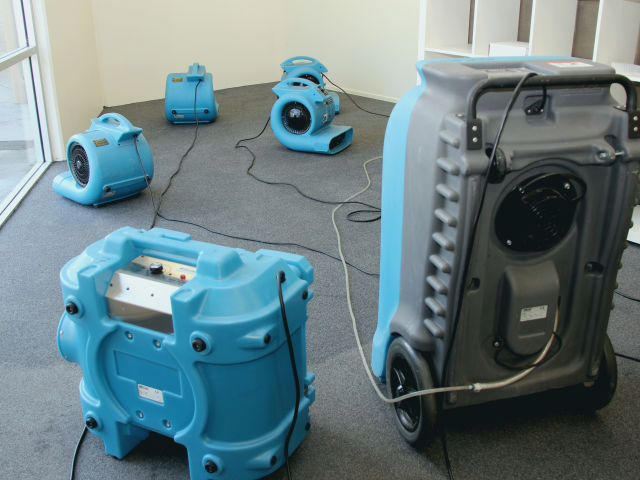 N1 Water Damage Help