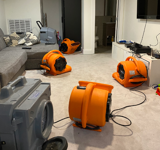 Water Disaster Restoration