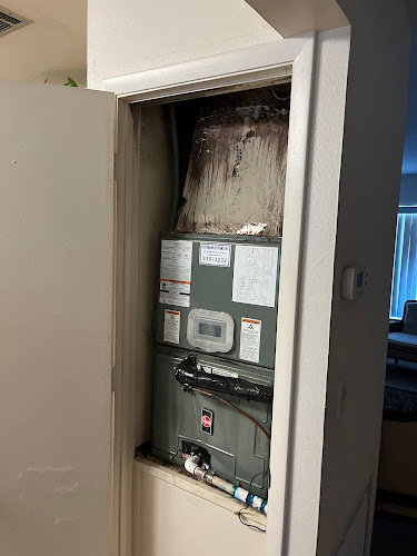 Mold Remediation Specialists