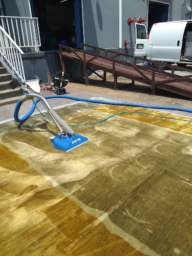 Castle One Rotary Steam Carpet