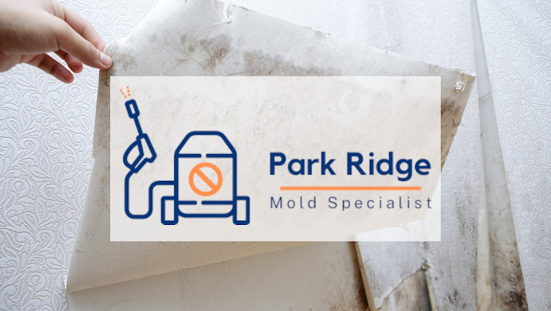 Park Ridge Mold Specialist