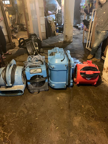 Prime Mold Repair Restoration