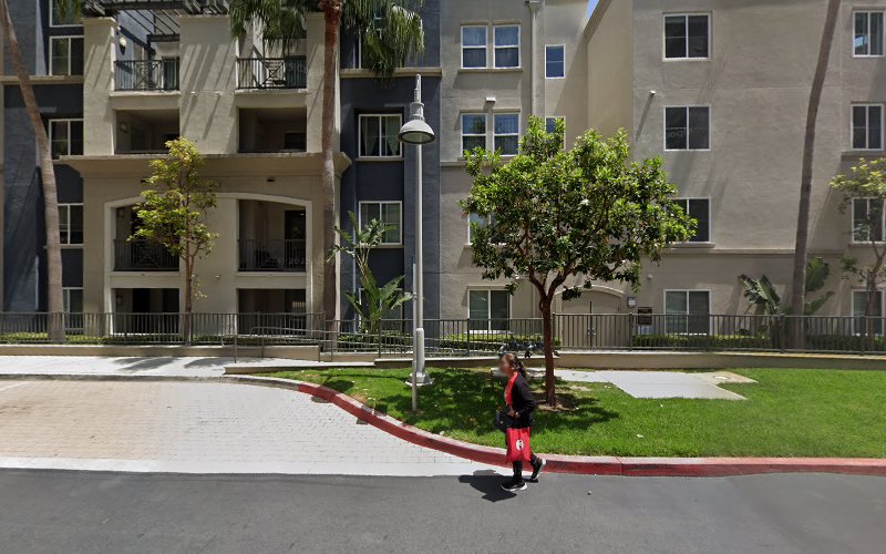 Pacific Mold Removal & Remediation