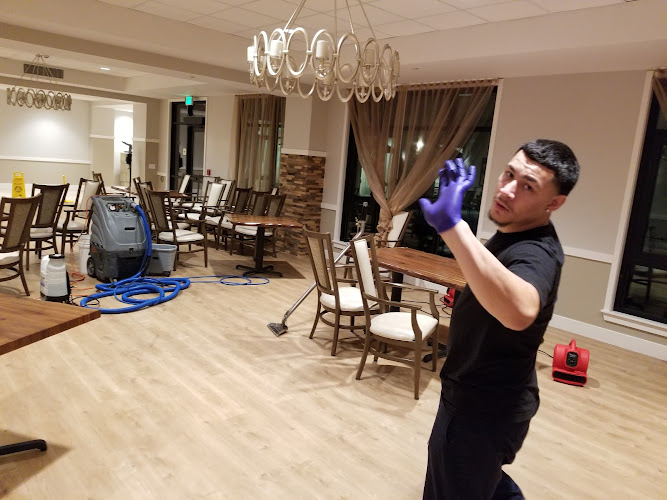 All American Carpet/Upholstery