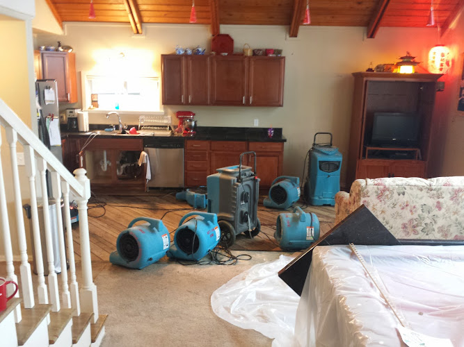 Action One Restoration