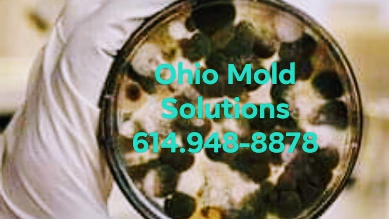 Ohio Mold Solutions