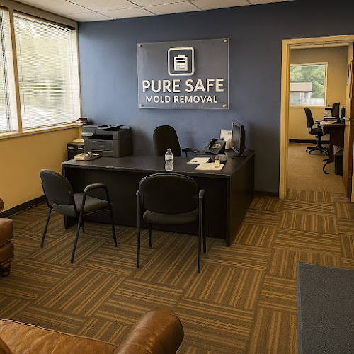 Pure Safe Mold Removal Stockbridge, GA