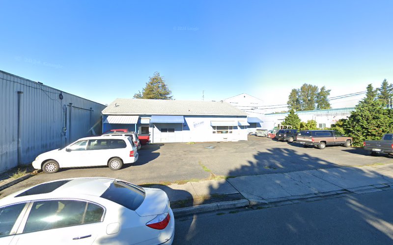 Marysville Mold Removal Service