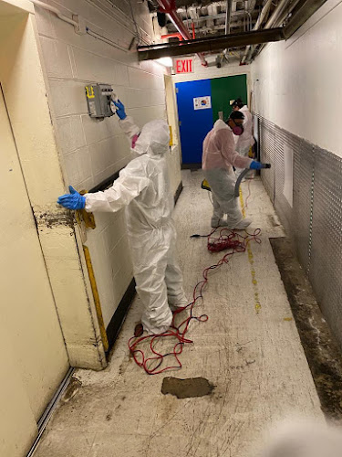 Big Apple Cleaning & Restoration | 2071 Flatbush Ave Ste 121, Brooklyn, NY 11234