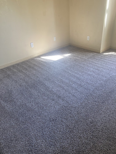 Ameri Carpet Cleaning