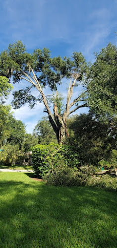 BluSky Restoration Contractors