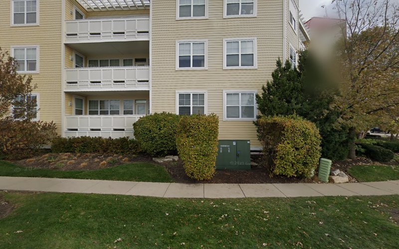 P&G Mold Inspection & Removal