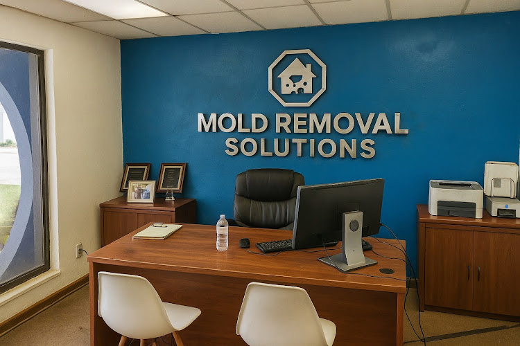 Mold Removal Solutions - Brandon FL