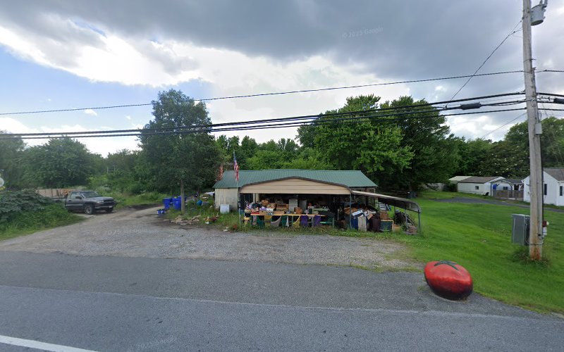 Gotopim Mold Remediation